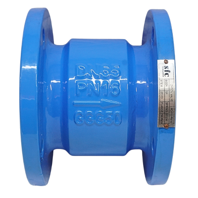Check Valve